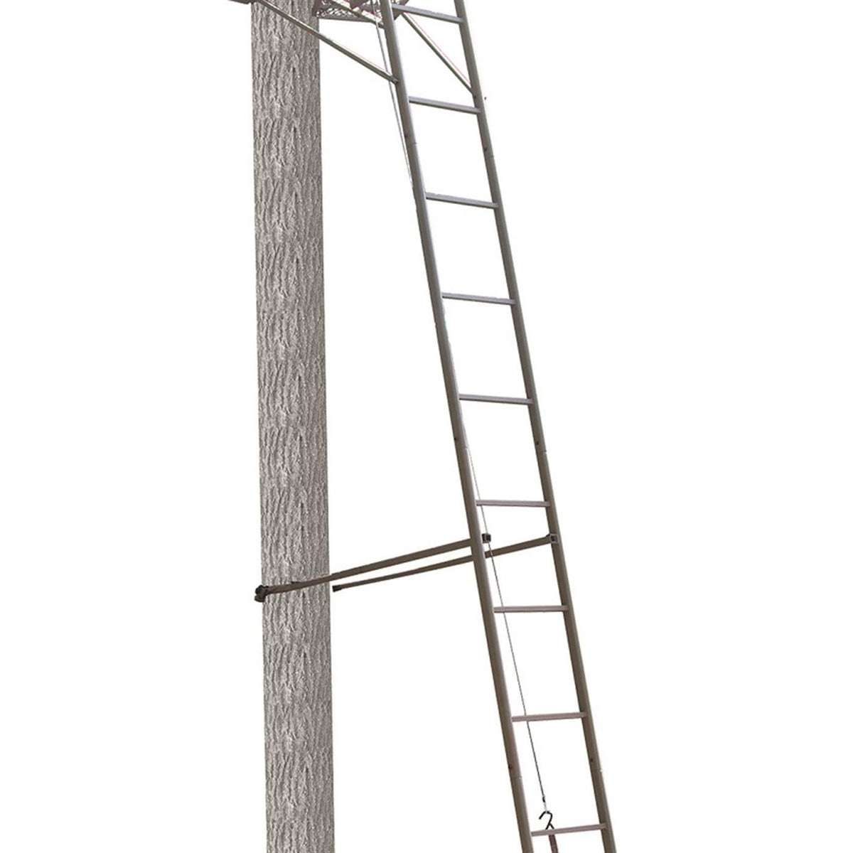Ladder Stand Z997