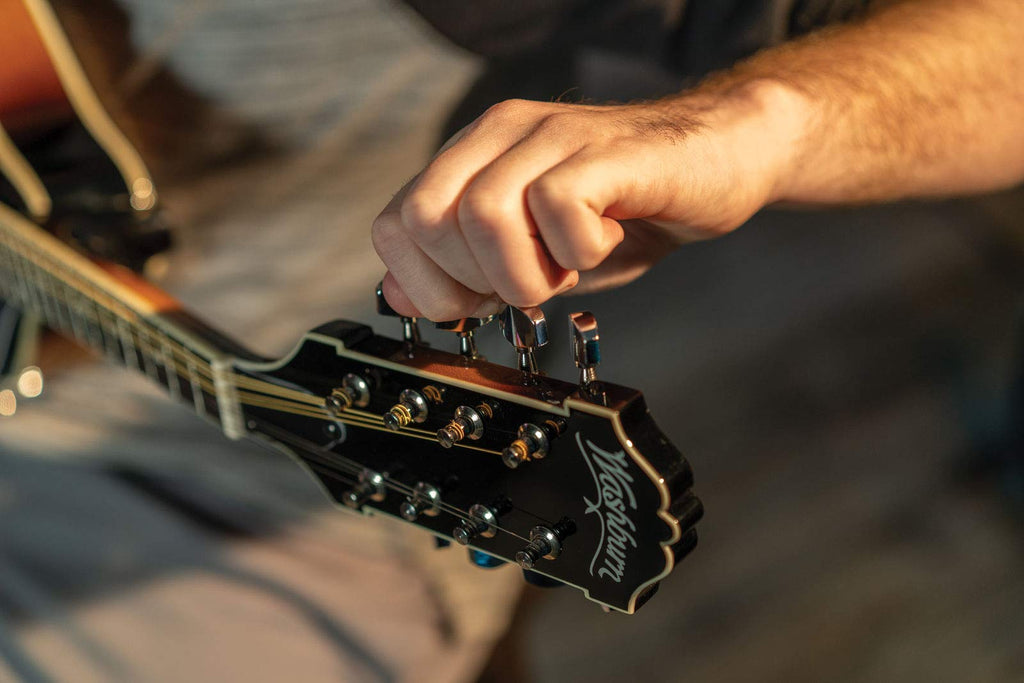 Mandolin Z355