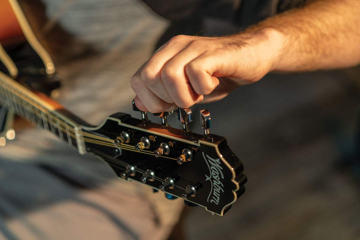 Mandolin Z355