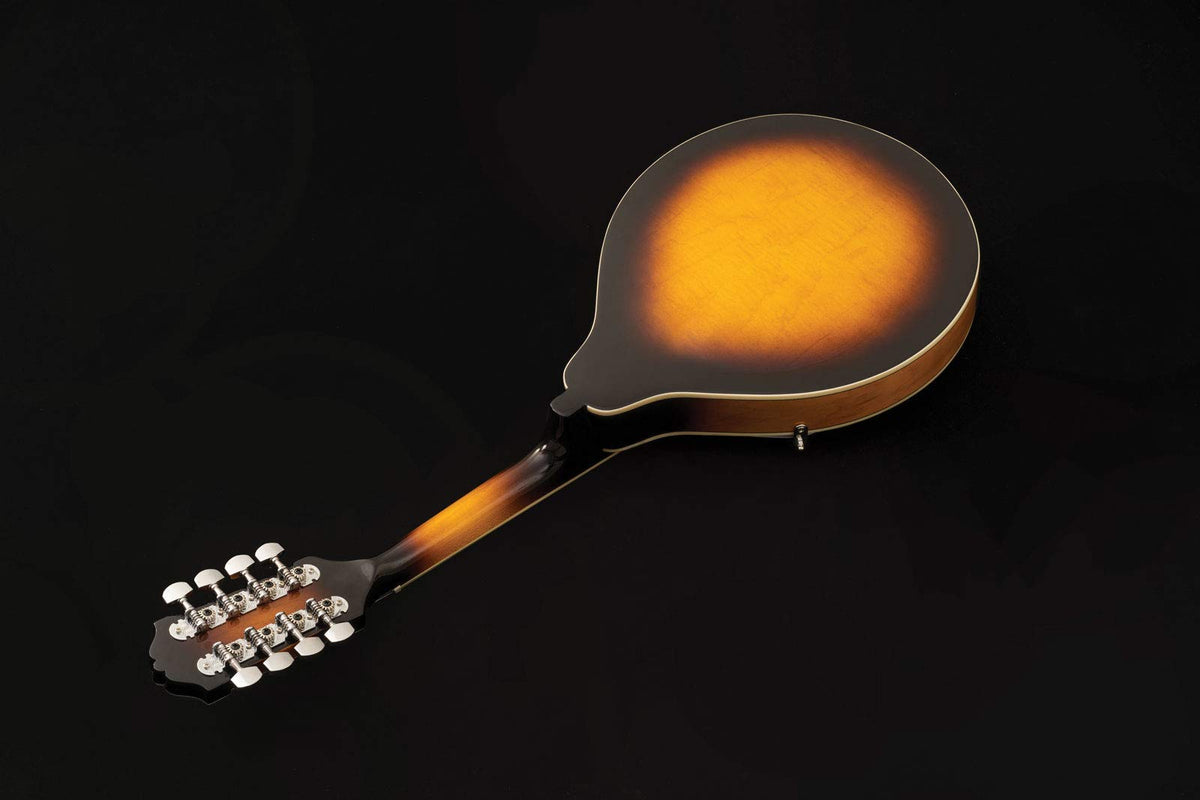 Mandolin Z355