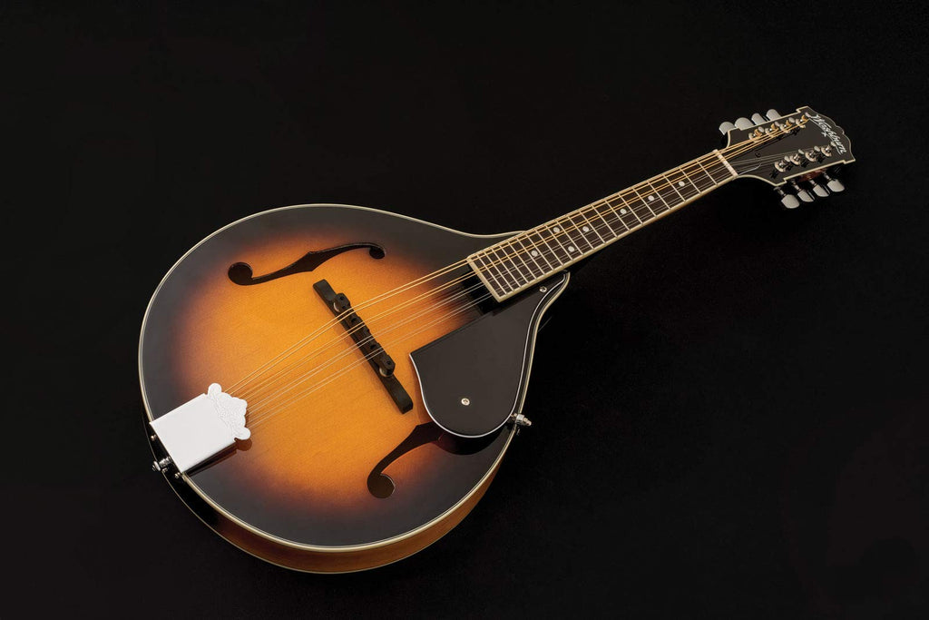 Mandolin Z355