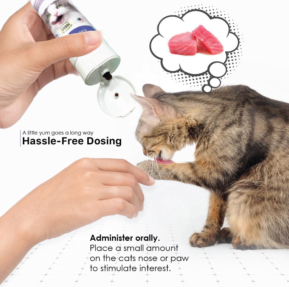 Cat Hairball Remedy Gel 5 oz M8208
