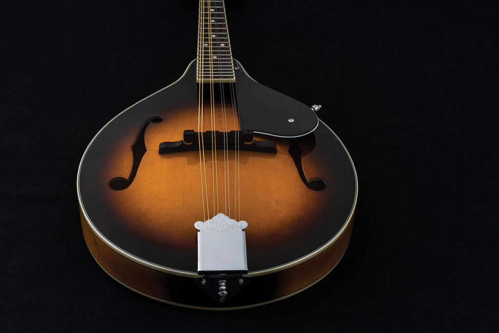 Mandolin Z355