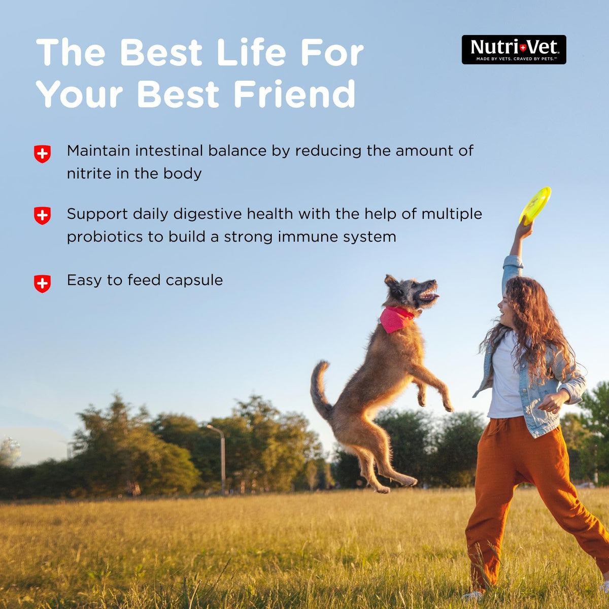 Probiotics for Dogs 60 Count B623