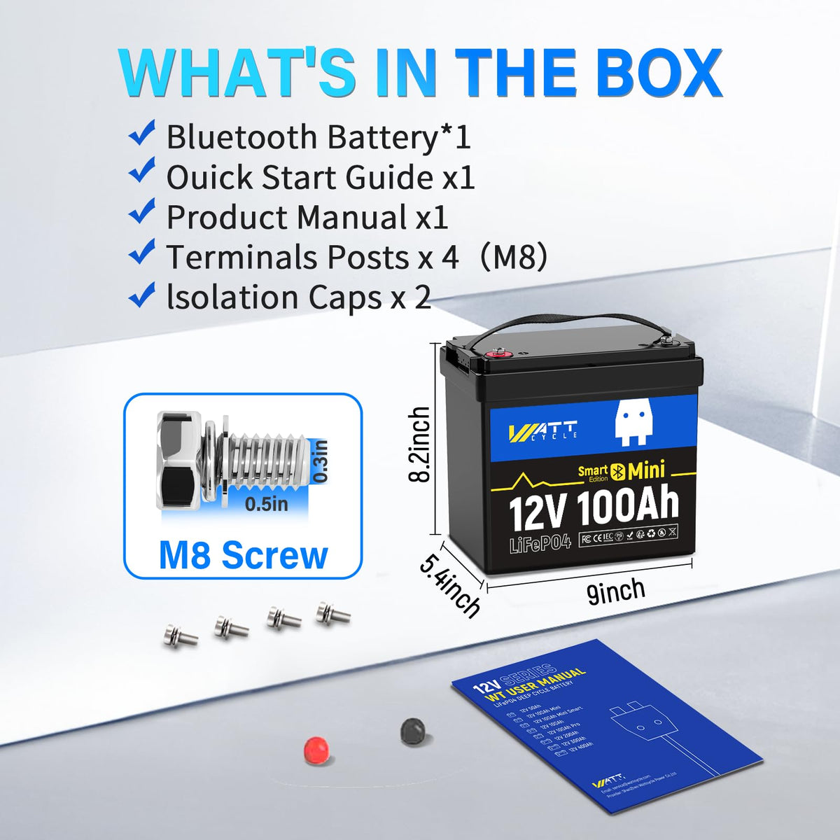 12V 100Ah Mini LiFePO4 Battery with Bluetooth A829076