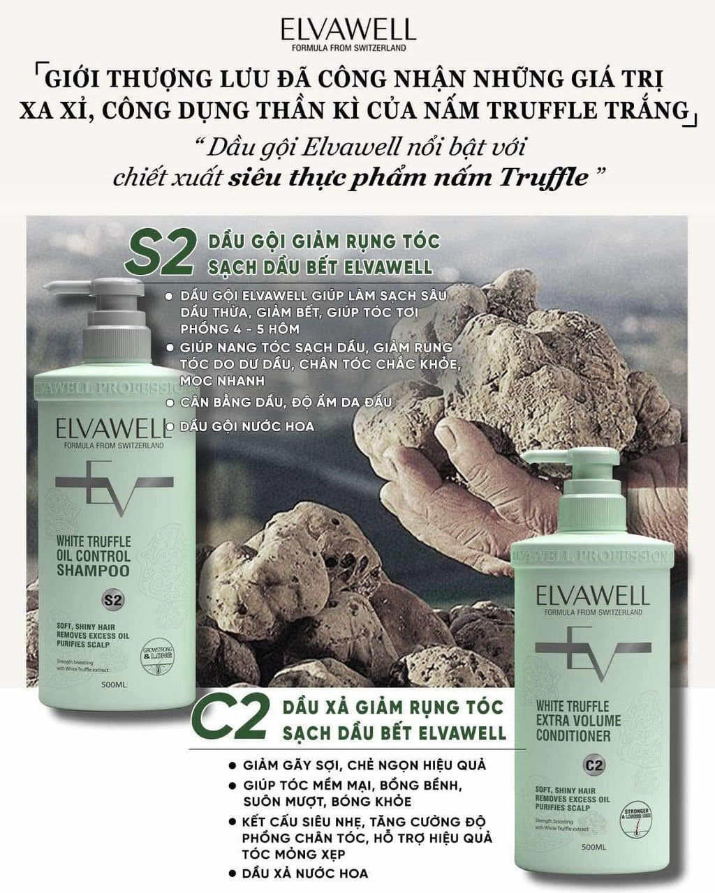 White Shampoo & Conditioner Set 16.9 fl oz Each I407