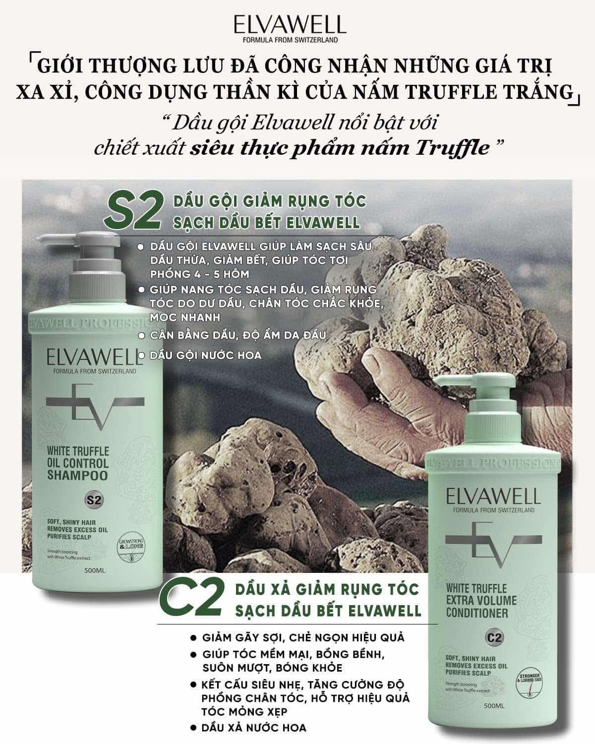 White Shampoo & Conditioner Set 16.9 fl oz Each I407