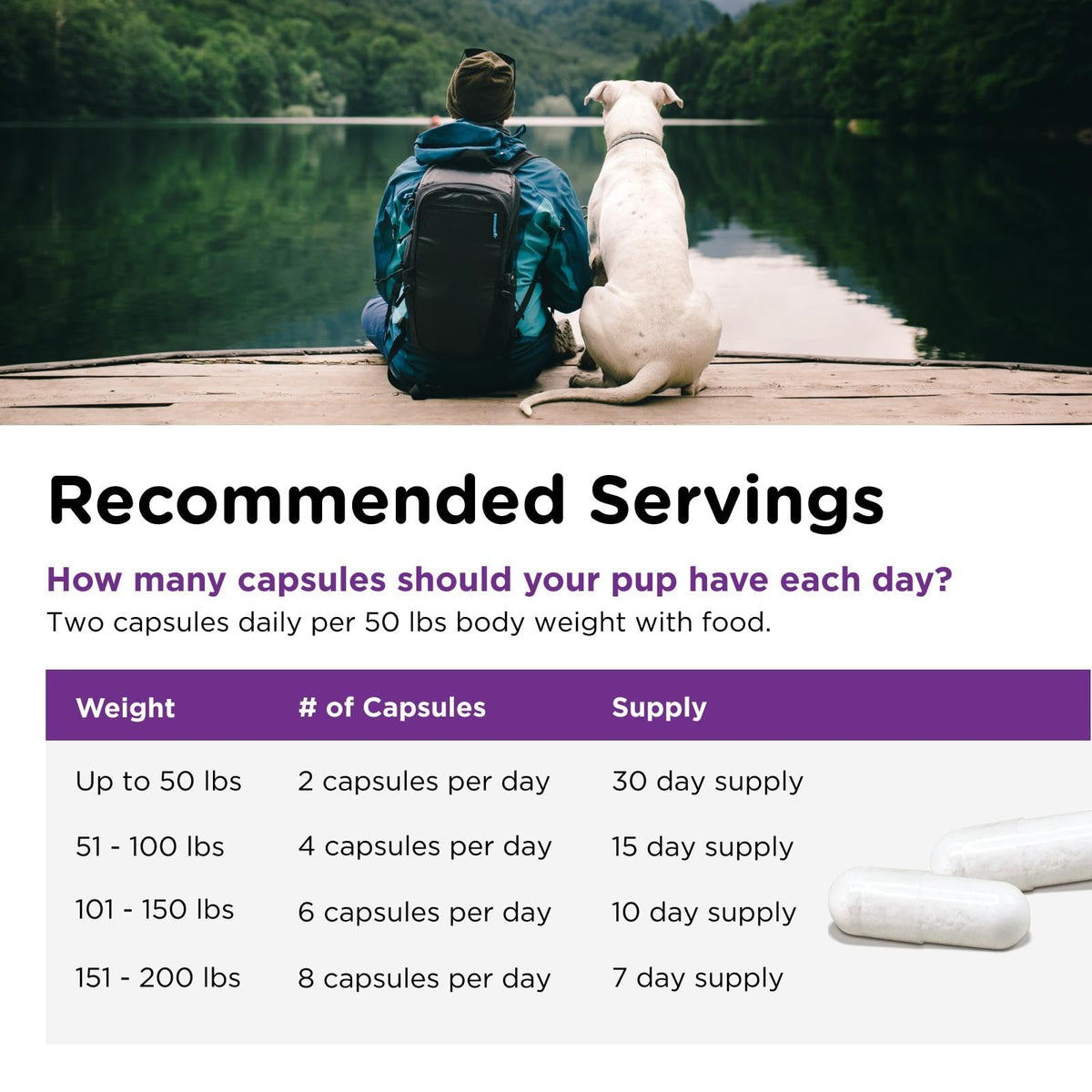Probiotics for Dogs 60 Count B623