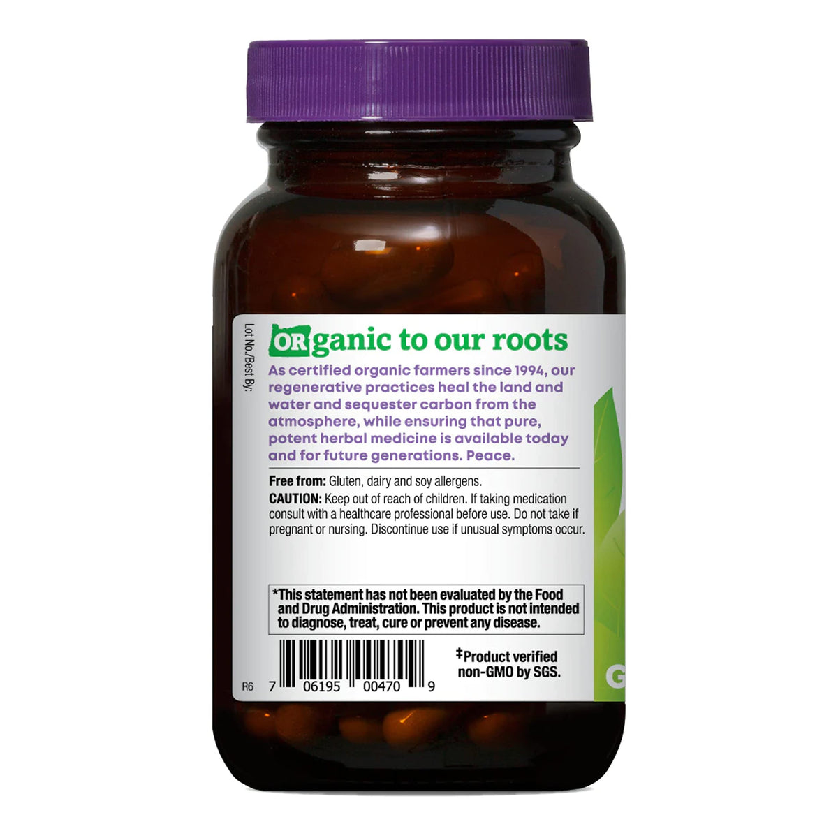 Organic Ashwagandha Ginkgo Vegan Capsules 90 Count P967448