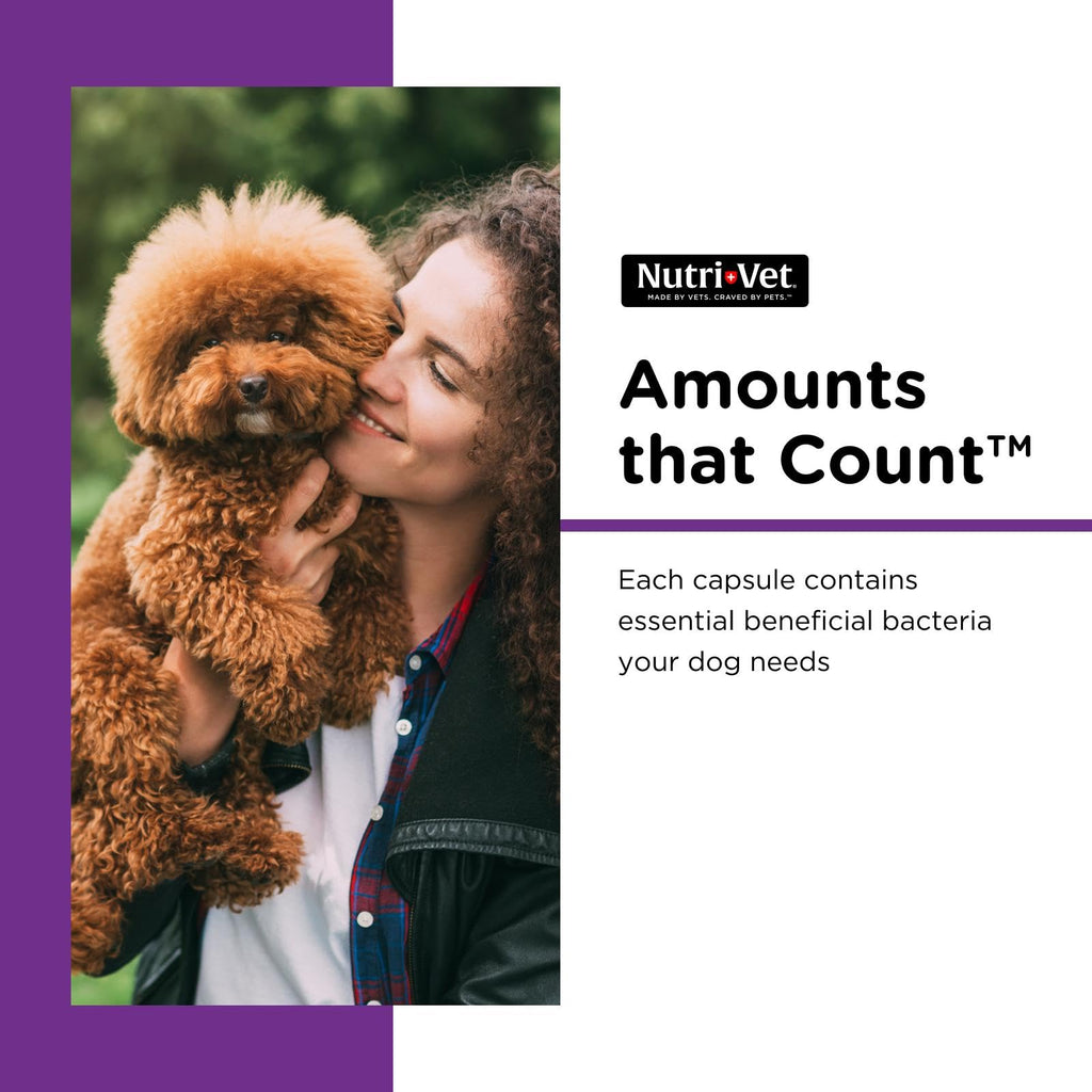 Probiotics for Dogs 60 Count B623