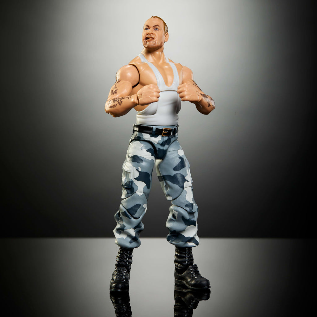 WWE Elite Collection Action Figure & Accessories T53659