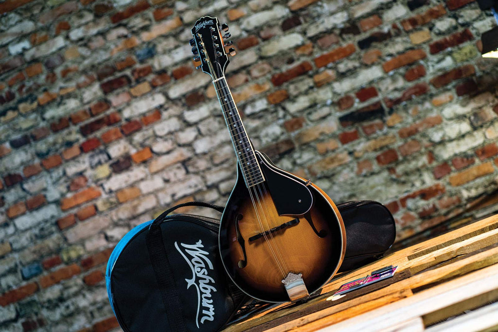 Mandolin Z355