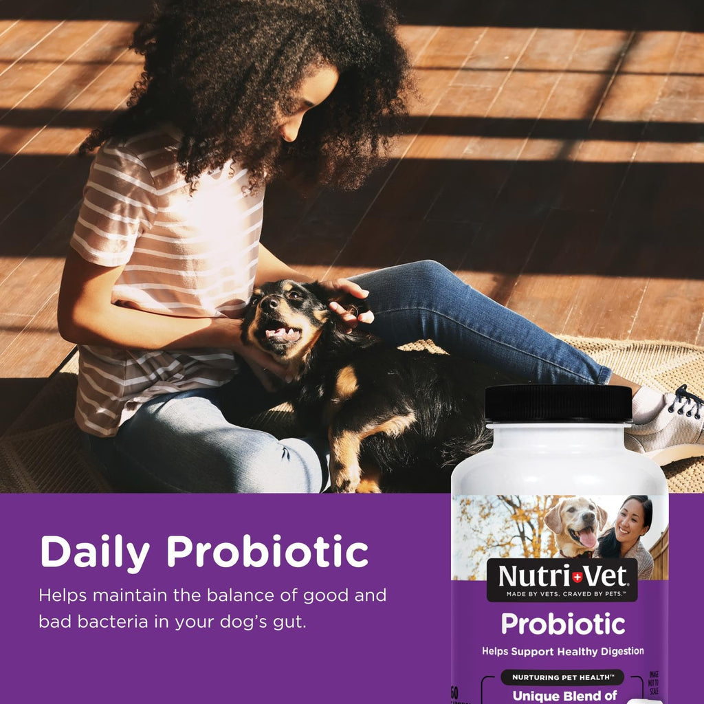 Probiotics for Dogs 60 Count B623