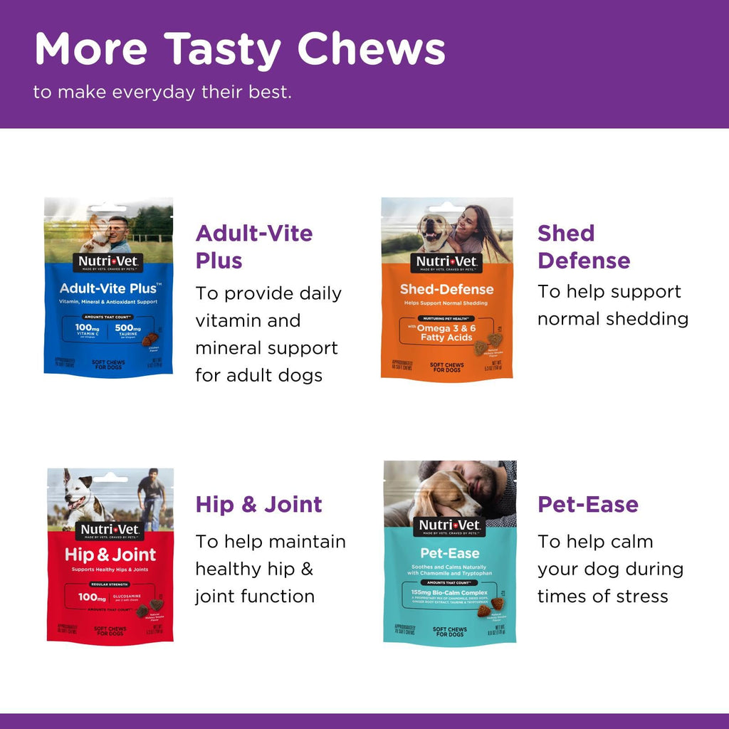 Probiotics for Dogs 60 Count B623
