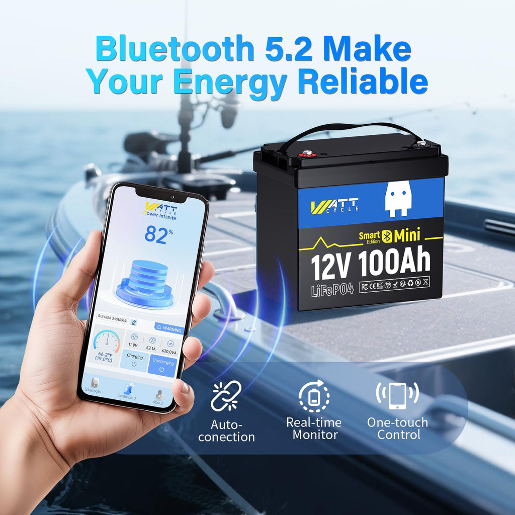 12V 100Ah Mini LiFePO4 Battery with Bluetooth A829076