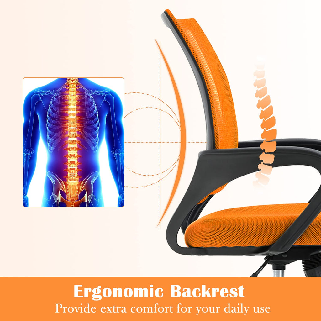 Adjustable Mesh Office Chair with Lumbar Support F895263