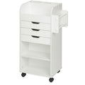 Rolling Craft Storage Cart with Locking Wheels Z506102