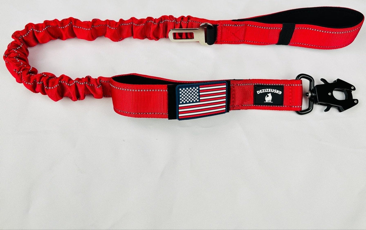 Heavy Duty Shock Absorbing Bungee Dog Leash G3269