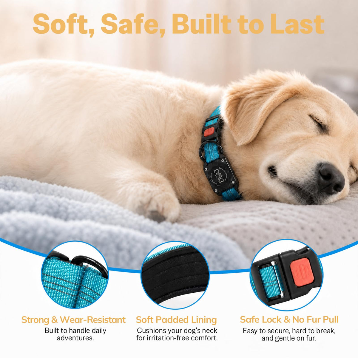 Blue IP68 Waterproof Reflective Dog Collar with AirTag Holder Y184025