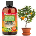Liquid Citrus Tree Fertilizer 3-1-2 Concentrate 8oz P50328