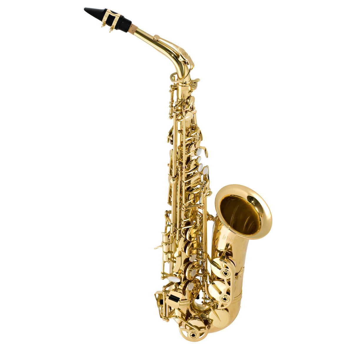 Alto Saxophone Outfit T9729