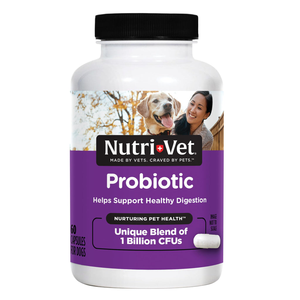 Probiotics for Dogs 60 Count B623