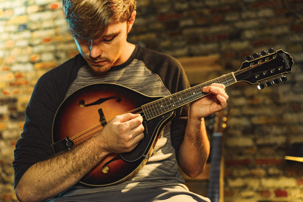 Mandolin Z355