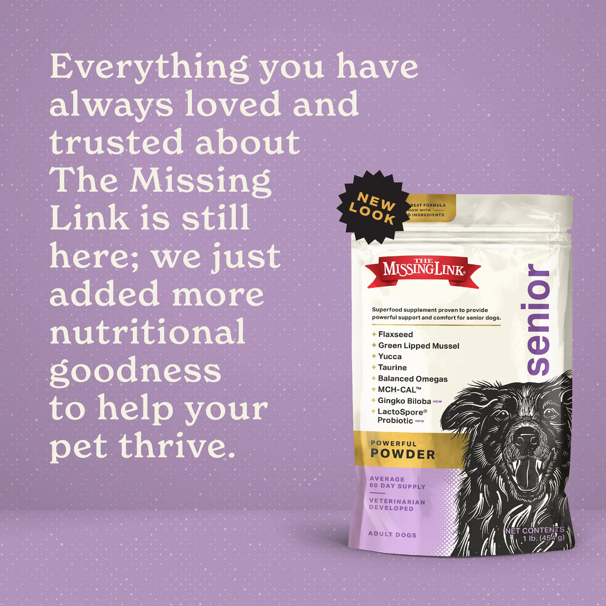 Senior Dog Supplement Powder 1lb Bag I62635