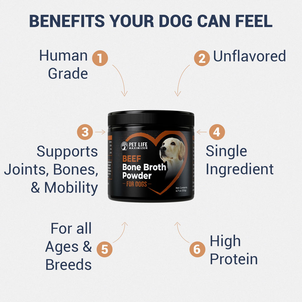 Beef Bone Broth for Dogs Z2694