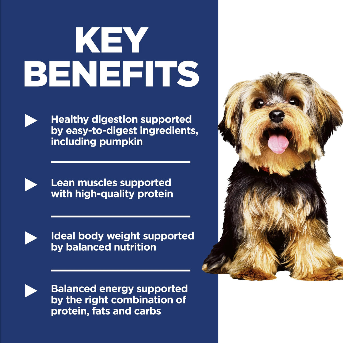 Dry Dog Food H34109