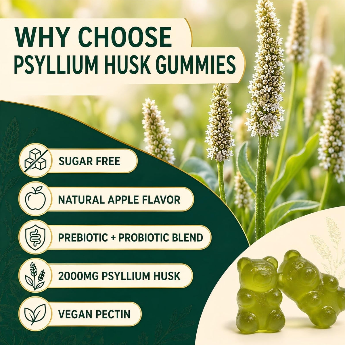 Sugar Free Psyllium Husk Gummies 2000mg 60 Count P31180