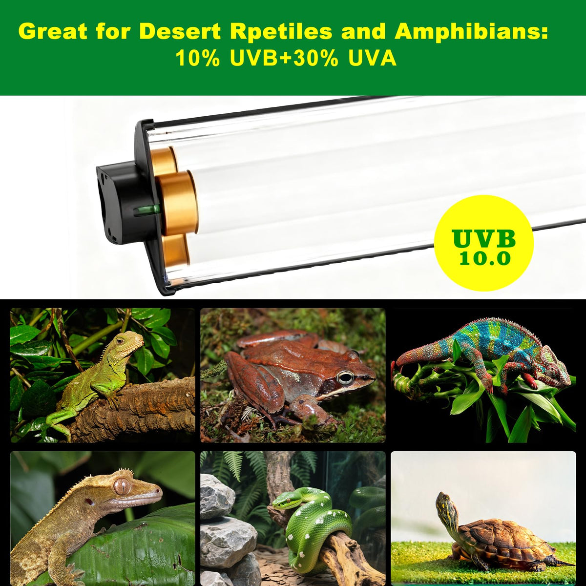 15W T5 HO UVB Terrarium Hood with Detachable Curved Reflector I7013