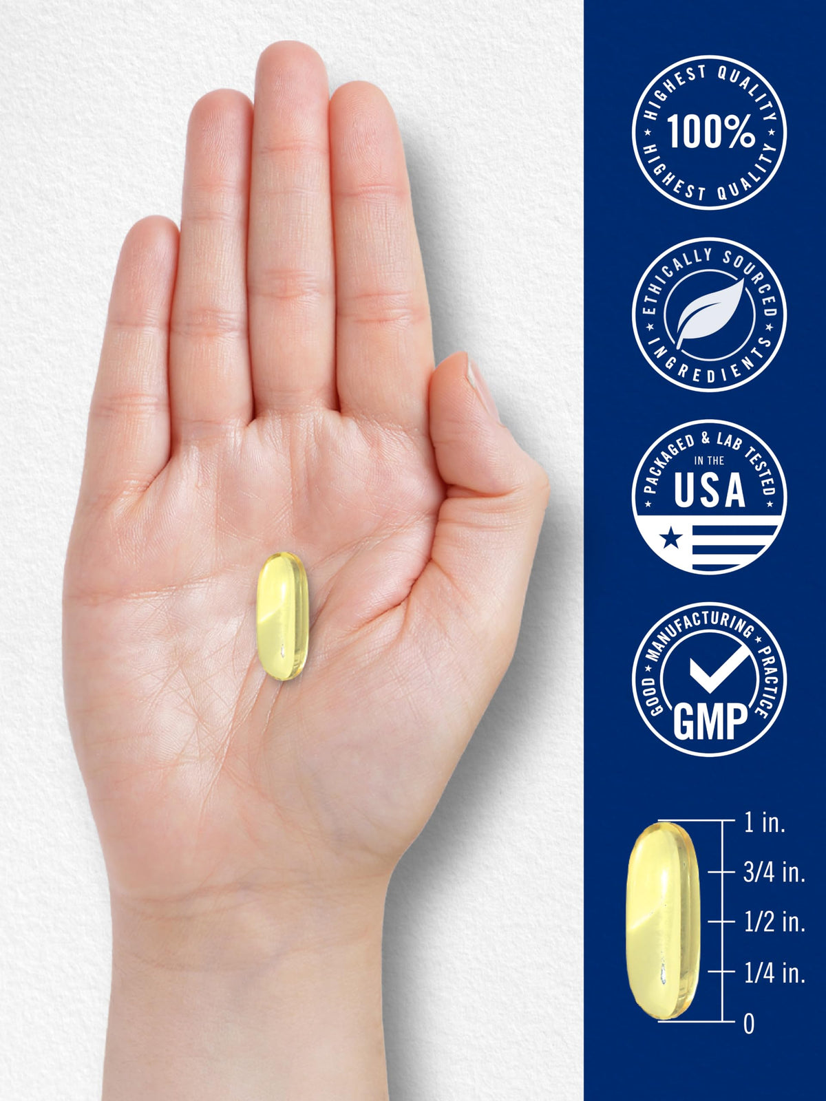Fish Oil 3600mg 1080mg Omega 3 120 Count R13606