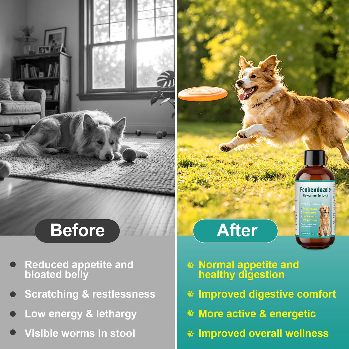 Dog Dewormer Liquid 100ml R480