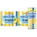 24 Pack Sparkling Water T322