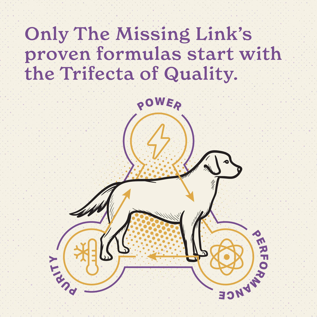 Senior Dog Supplement Powder 1lb Bag I62635