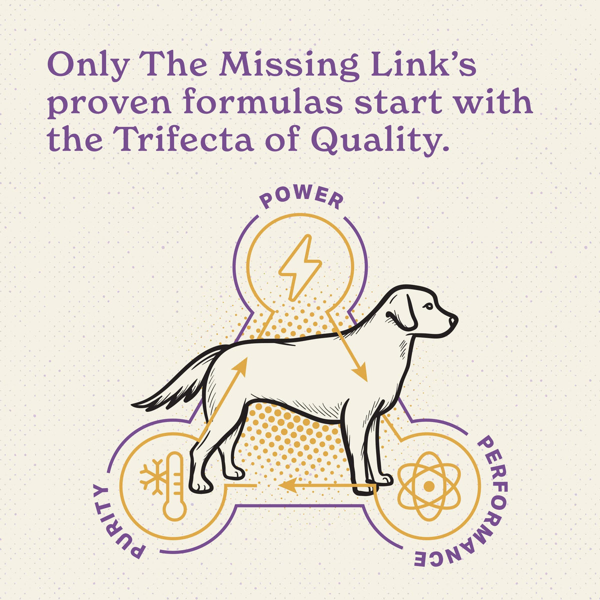 Senior Dog Supplement Powder 1lb Bag I62635