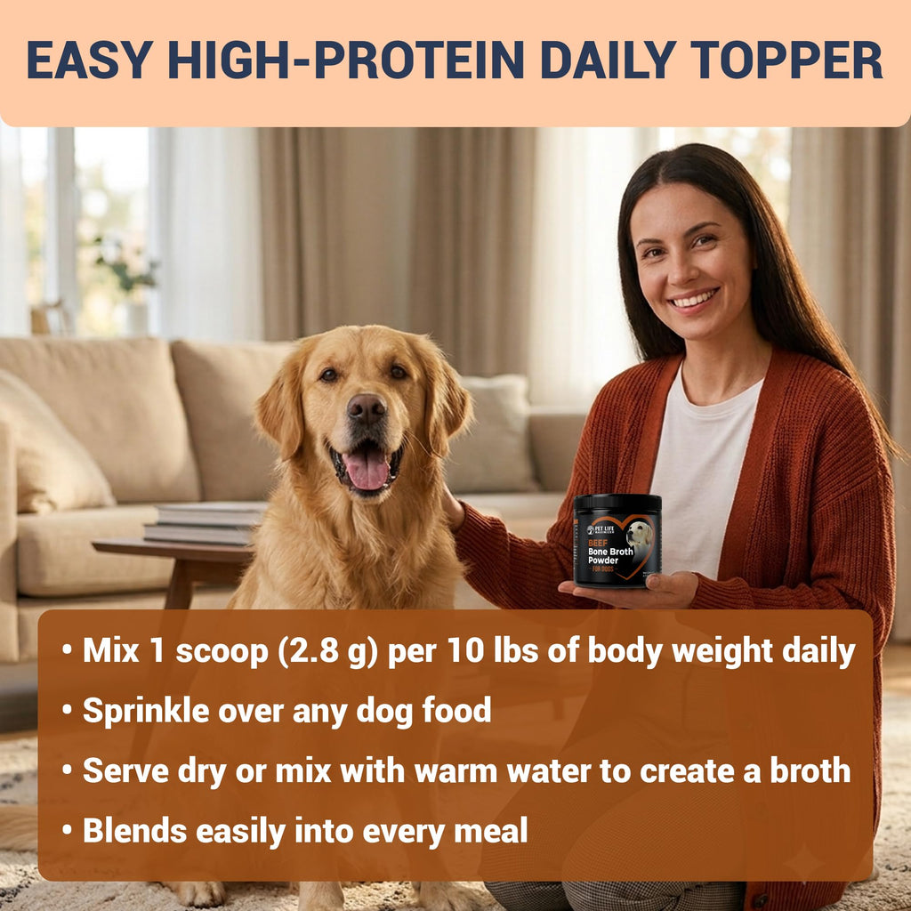 Beef Bone Broth for Dogs Z2694