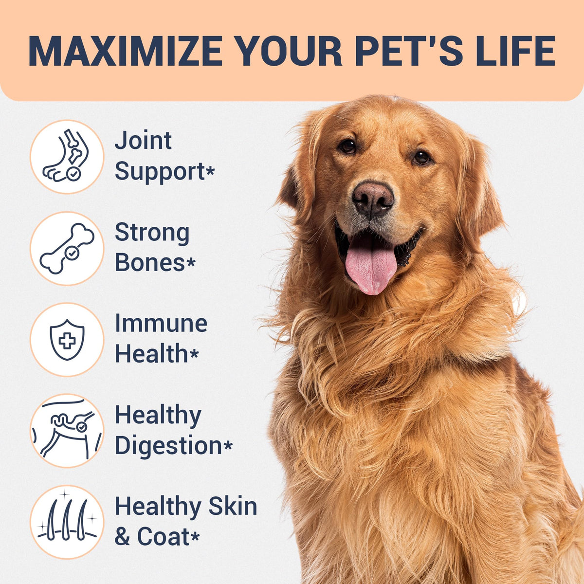 Beef Bone Broth for Dogs Z2694